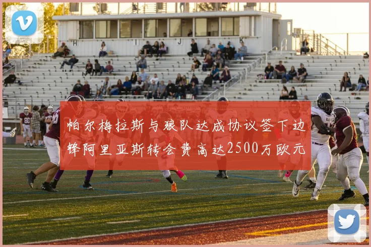 帕尔梅拉斯与狼队达成协议签下边锋阿里亚斯转会费高达2500万欧元