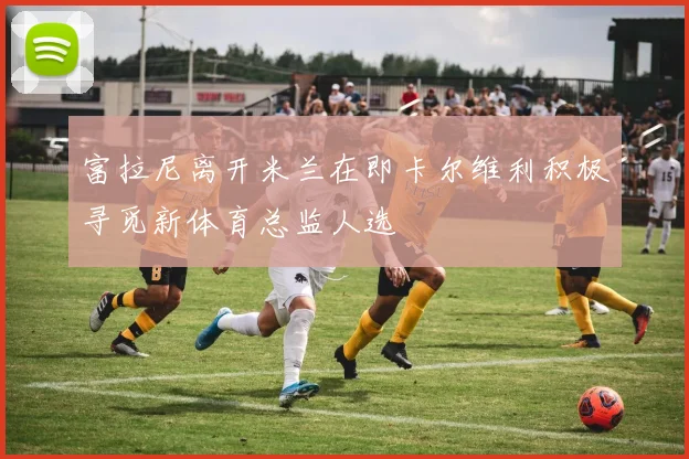 富拉尼离开米兰在即卡尔维利积极寻觅新体育总监人选
