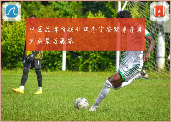 中国品牌内战升级李宁安踏争夺库里成最后赢家