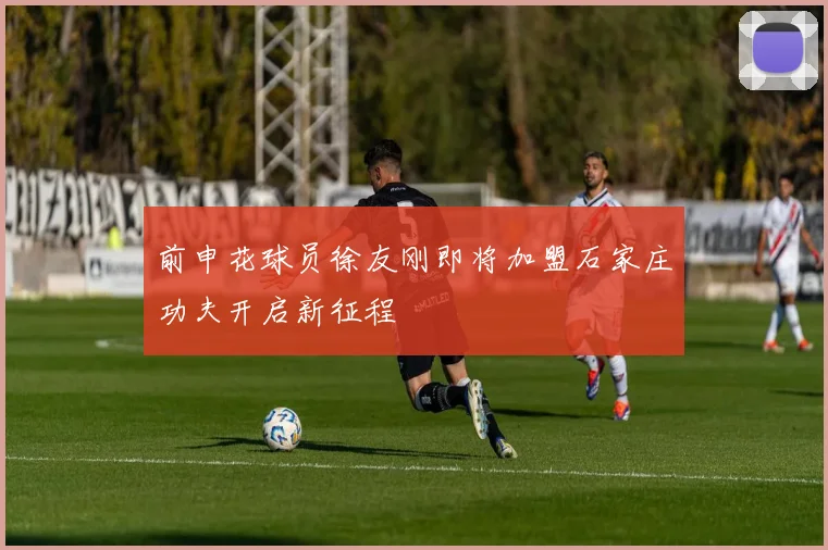 前申花球员徐友刚即将加盟石家庄功夫开启新征程